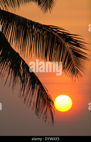 Sonnenuntergang über den Palmen an der Wadduwa Hotel, Sri Lanka 3 Stockfoto