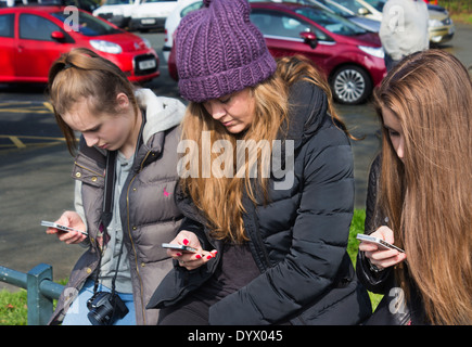 Drei Mädchen auf der Suche bei Mobiltelefonen. Stockfoto