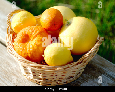 Obst, frisch von den Bäumen im Weidenkorb gesammelt Stockfoto