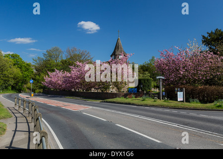 Buckland im Frühjahr, Surrey, England Stockfoto