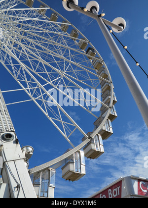 Riesenrad Stockfoto