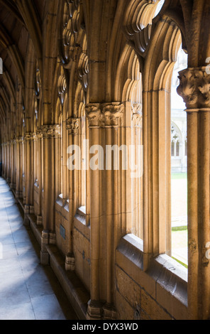 Der Kreuzgang im Inneren der Kathedrale von Lincoln, Lincolnshire England UK Stockfoto