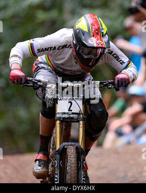 Cairns, Australien. 26. April 2014. Greg Minnaar in Südafrika während der Mens Elite downhill-Rennen bei der UCI Mountain Bike World Cup in Smithfield Regenwald und Cairns. Bildnachweis: Aktion Plus Sport/Alamy Live-Nachrichten Stockfoto