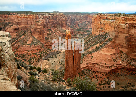 Spider Rock, Canyon de Chelly National Monument, Chinle, Arizona USA Stockfoto