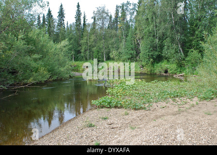 Ruhigen Wald Fluss. Jungfrau Komi Wälder, Taiga in Ridge Chernyshov. Stockfoto