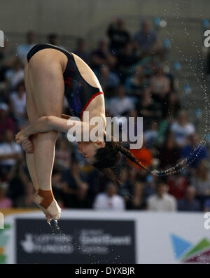 London, UK. 26. April 2014. He Zi China konkurriert, während der Frauen 3M Sprungbrett der FINA/NVC Diving World Series 2014 bei London Aquatics Centre in London, UK 26. April 2014. Er behauptete den Titel mit 360,15 Punkten. Bildnachweis: Wang Lili/Xinhua/Alamy Live-Nachrichten Stockfoto