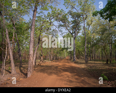 Kambodschanische Feldweg in der Nähe von Koh Ker Tempel 127 NE von Siem Reap, Kambodscha Stockfoto