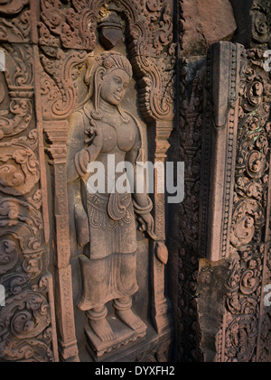 Apsara Basrelief Sandstein schnitzen am Banteay Srei Hindu-Tempel ist Shiva gewidmet. Siem Reap, Kambodscha Stockfoto