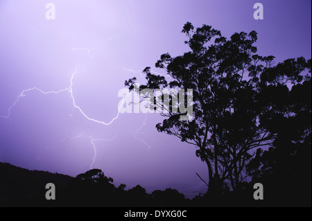 Gewitter, QLD Australien Stockfoto