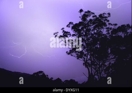 Gewitter, QLD Australien Stockfoto