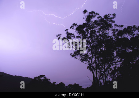 Gewitter, QLD Australien Stockfoto