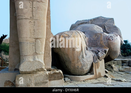 Blick nach Osten Ramesseum. Kolossale Granit Kopf von Ramses II. ° Stockfoto