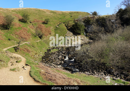 Fluss, der durch eine Schlucht in den Yorkshire Dales in Ingleton Stockfoto