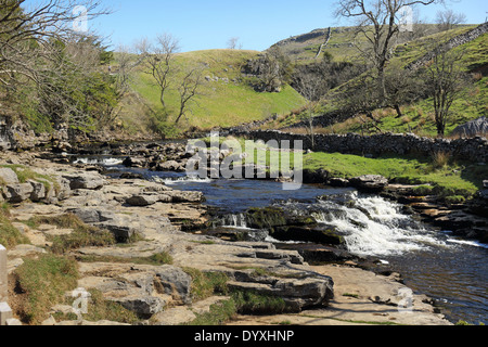 Fluss, der durch Ackerland in den Yorkshire Dales in Ingleton Stockfoto