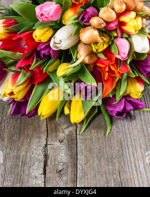 Bouquet von frischen bunten Tulpen über rustikalen hölzernen Hintergrund. Frühlingsblumen Stockfoto
