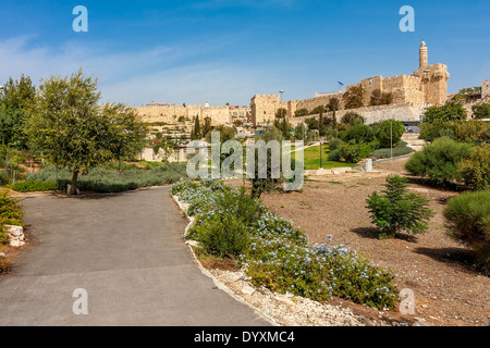 Turm von David und alten Stadtmauern gesehen vom städtischen Park in Jerusalem, Israel. Stockfoto