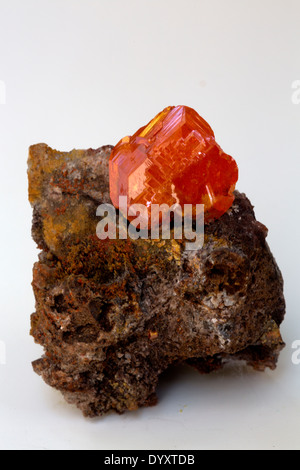 Wulfenite, Red cloud mine, Arizona, Probe mit freundlicher Genehmigung von Marcus /Haskins Sammlung Stockfoto