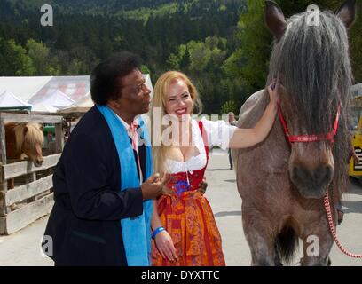 Salzburg, Österreich. 26. April 2014. Sänger Roberto Blanco und seine Frau Luzandra posieren mit Zugpferd Kuemmel während des Frühlingsfestes auf Gut Aiderbichl in Henndorf bei Salzburg, Österreich, 26. April 2014. Foto: Ursula Düren/Dpa/Alamy Live News Stockfoto