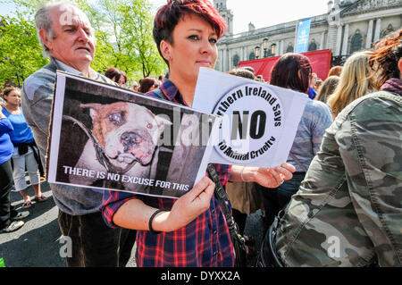 Belfast, Nordirland. 27 Apr 2014 - Hält eine Frau zwei Protest Poster, eine zeigt einen verstümmelten Hunde, wie Hunderte von Menschen zu einer Kundgebung mit der Forderung nach Ende der Grausamkeit gegen Tiere sammeln, und strengere Vorschriften für die Verführer. Credit: Stephen Barnes/Alamy leben Nachrichten Stockfoto