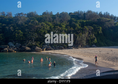 Gruppe der Schwimmer beginnt am frühen Morgen schwimmen Shelly Beach Manly Sydney nördlichen Strände New South Wales NSW Australia Stockfoto