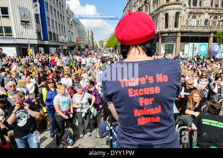 Belfast, Nordirland. 27. April 2014 - versammeln sich Hunderte von Menschen zu einer Kundgebung, die Ende der Tierquälerei und strengere Vorschriften für Täter fordert. Bildnachweis: Stephen Barnes/Alamy Live-Nachrichten Stockfoto