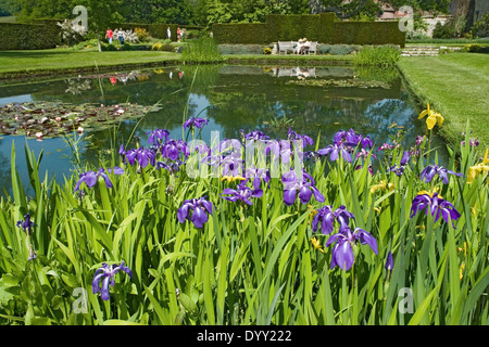 Seerosenteich in Batemans, ehemalige Heimat von Rudyard Kipling, Burwash, East Sussex Stockfoto