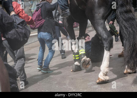 Brighton, UK. 27. April 2014. Ein Marsch für England gegen Demonstranten nimmt einen schweren Sturz, als er von einem Polizei-Pferd in Brighton, United Kindom zu Boden geworfen wird. Bildnachweis: Peter Manning/Alamy Live-Nachrichten Stockfoto