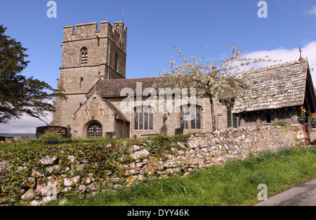 Alten Radnor Powys, Wales St.-Stephans Kirche Stockfoto