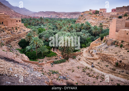 Alten Kasbah in (Todra) Todgha-Schlucht Dades Tal (Tal der tausend Casbahs). Marokko Stockfoto