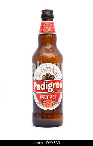 Flasche Marston es Pedigree Pale Ale, eingeführt im Jahre 1952 und Marston es Flaggschiff-Marke, 150.000 Hektoliter im Jahr 2010 zu verkaufen. Stockfoto