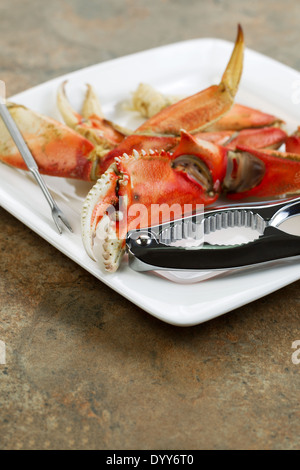 Closeup vertikale Foto von frisch gekochten Dungeness Krabbenbeine auf weißen Teller mit Edelstahl Krabbe Cracker und Stein Zähler nach oben Stockfoto