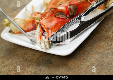 Closeup horizontale Foto von frisch gekochten Dungeness Krabbenbeine auf weißen Teller mit Edelstahl Krabbe Cracker und Stein Zähler nach oben Stockfoto