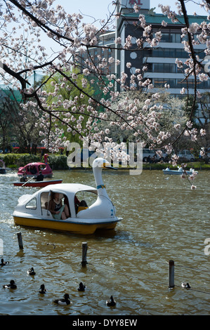 Boote und Kirschblüten im Ueno Park, Tokyo, Japan Stockfoto