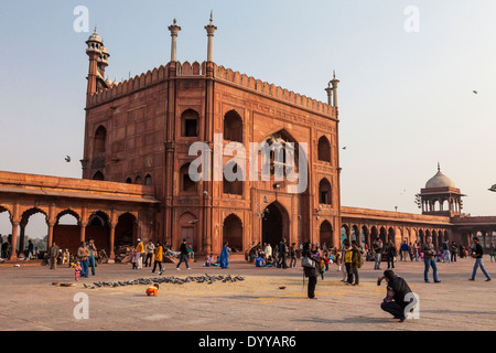 Neu-Delhi, Indien. Innenhof der Jama Masjid (Freitagsmoschee), Indiens größte Moschee, errichtet 1644-1656. Stockfoto