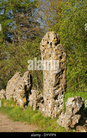 Die Könige Männer neolithische Steinkreis, Rollright Stones größte Stein des Kreises Stockfoto