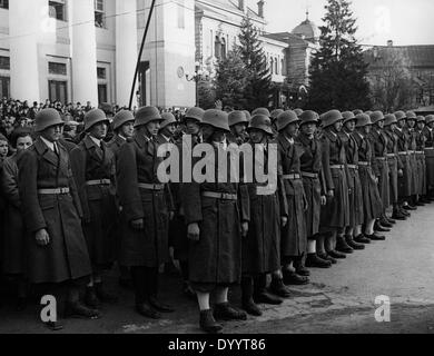 Österreichische SS-Mitglieder, 1938 Stockfoto