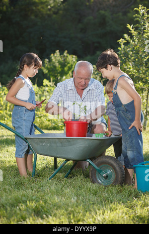 Kinder hilft ihr Großvater im Garten Stockfoto