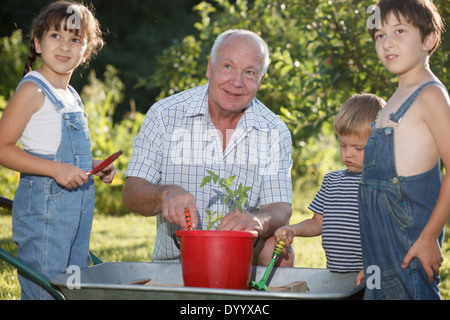 Kinder hilft ihr Großvater im Garten Stockfoto