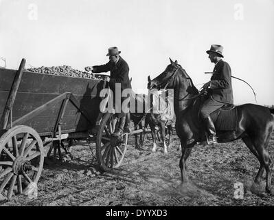 Landwirtschaft in der sogenannten Wartheland, 1941 Stockfoto