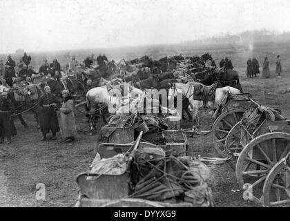 Artillerie in der Nähe von Lodz, 1914 Stockfoto