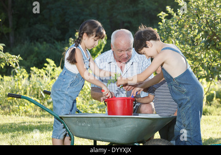 Kinder hilft ihr Großvater im Garten Stockfoto