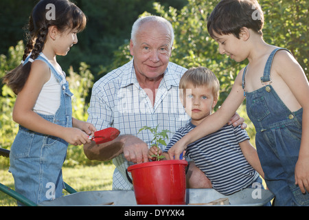 Kinder hilft ihr Großvater im Garten Stockfoto