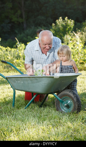 Kind ist ihr Großvater helfen. Stockfoto