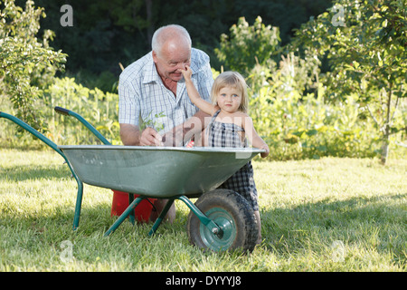 Kind ist ihr Großvater helfen. Stockfoto