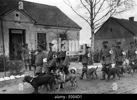 Deutsche medizinische Pfleger mit ihren Hunden, 1915 Stockfoto