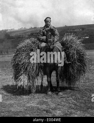 Russische Zaunlatte auf dem Pferderücken, 1915 Stockfoto