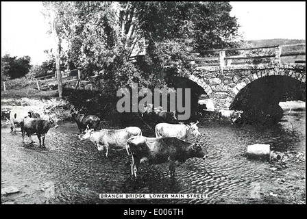 Niederlassung (Töpferei) Brücke, Keene NH Stockfoto