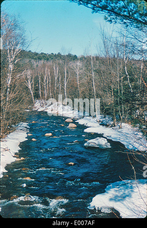 Ein Foto des North Branch River in Keene, New Hampshire, aufgenommen von Anne Wardwell. Das Bild fängt den ruhigen Fluss ein, der durch eine schneebedeckte Waldlandschaft fließt und die Schönheit der Natur im Winter unterstreicht. Stockfoto