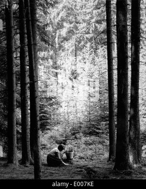 Ein Pilzsammler im Wald Stockfoto