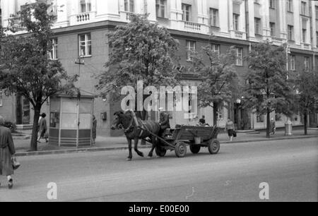 Ein Pferdefuhrwerk in Minsk Stockfoto